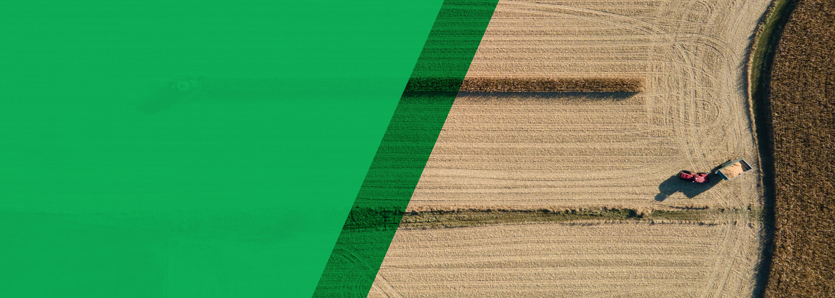 ダウンロードゾーン