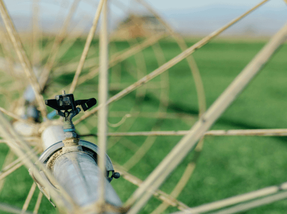 Управление