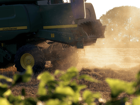 Planting