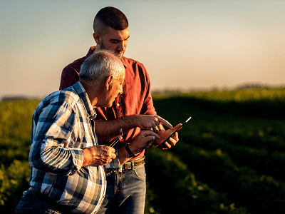 IoT, AI and automation enable sustainable, efficient smart agriculture