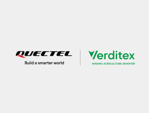 Verditex founded