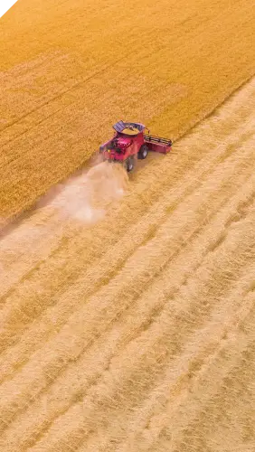 Harvesting