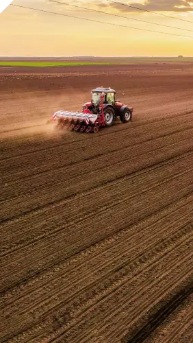 Sowing